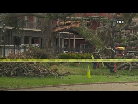 Morris Bart, LLC discusses lawsuit for family of teen who was injured by a tree in Jackson Square