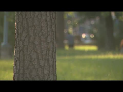 Juvenile arrested in attacks on women at northwest Houston park