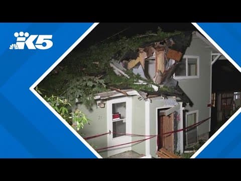 Whatcom County couple unharmed after massive tree crushes their home during bomb cyclone