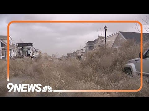 Utah town overrun by thousands of tumbleweeds