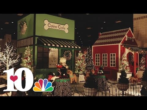 ETCH sets the scene for Fantasy of Trees' theme