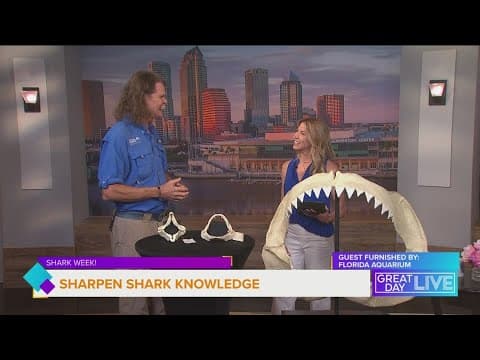 Florida shark facts during Shark Week