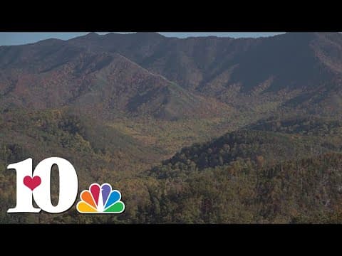 Autumn leaves means big business