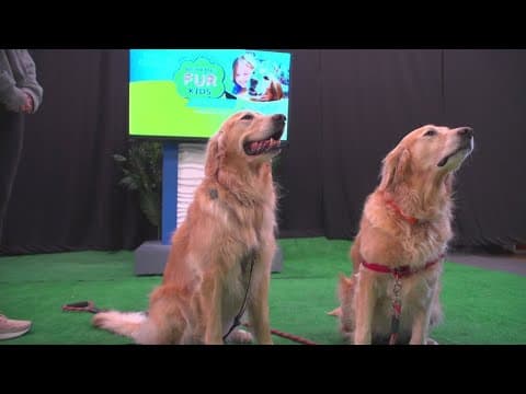 Help launch a Resident Canine Therapy Program at Rady Children’s in San Diego