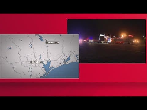 DPS: Livingston high school student struck by 18-wheeler, killed after getting off bus along US-59