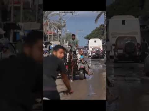 Talks begin in Egypt on Trump plan to end Gaza war