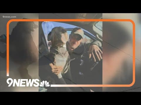 Loveland officer who shot puppy will face jury trial