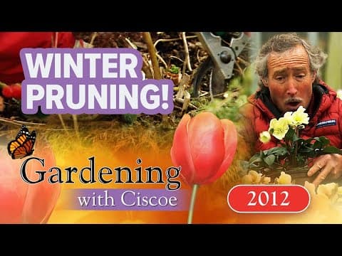 WINTER PRUNING! Prep Your Garden For a Chill! | Gardening With Ciscoe | Full Episode
