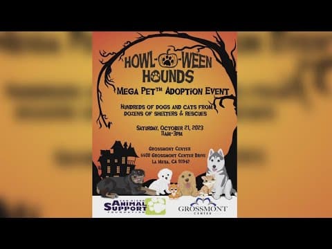San Diego animal shelters join together for Howl-O-Ween event