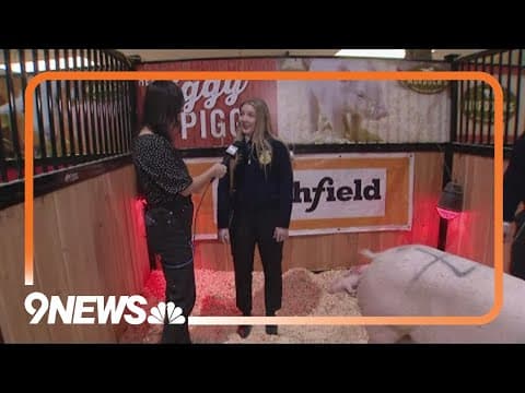 Stock Show to offer free admission on Tuesday