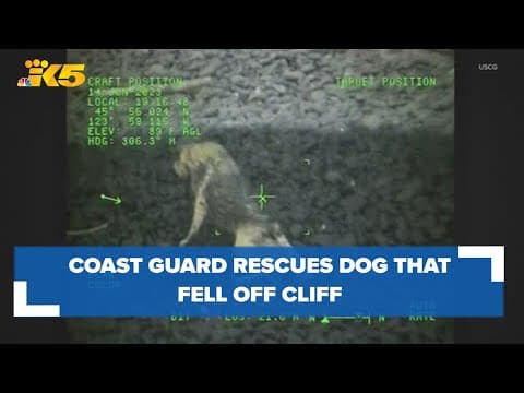 Coast Guard spokesperson explains helicopter rescue of dog who fell down cliff