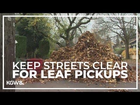 Portlanders warned not to park in streets during leaf pickups