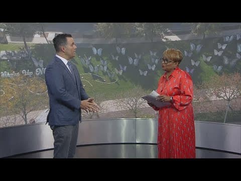 Nationwide Children's Hospital prepares for 'Light Up the Lawn' initiative