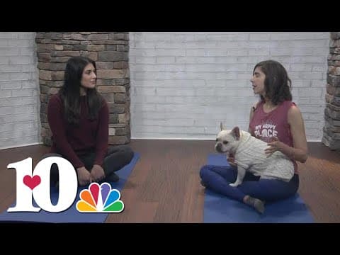 Yoga for a cause: Blue Ridge Yoga in Knoxville holding class to raise money for Ukrainian children