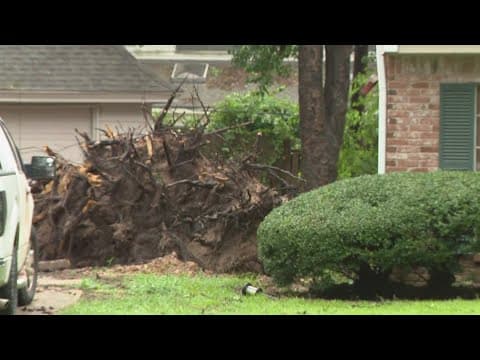 At least 3 dead including grandmother | Hurricane Beryl update