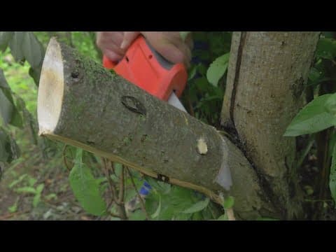 How to avoid sparking a fire near your home