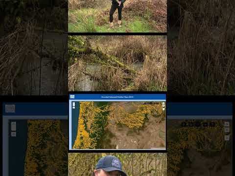 Oregon maps out critical fish habitats throughout the state