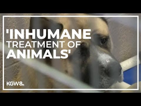 Multnomah County Animal Services accused of systemic animal neglect, retaliation toward employees