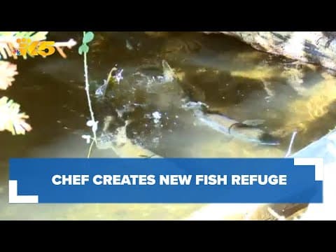 Chef creates new fish refuge