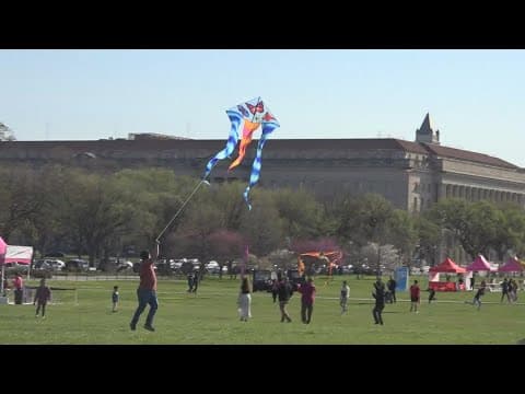 Kite enthusiasts gather at the National Mall in DC for 2024 Blossom Kite Festival