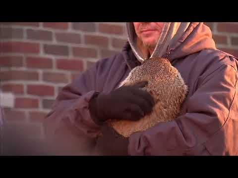 Buckeye Chuck does not see shadow, predicts early spring for Ohio