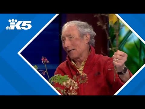 Ciscoe Morris goes over spring checklist for your garden