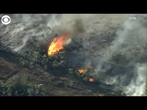 Firefighters battle brush fire in Laguna Beach, CA