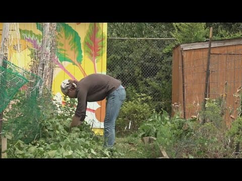 Widespread drought affecting local farmers