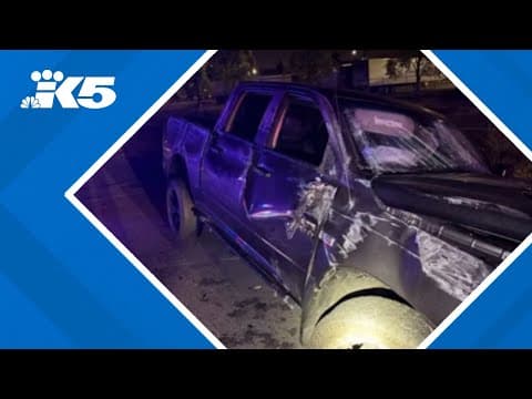 Driver of pickup arrested for suspected DUI after ramming into semi on SR 99