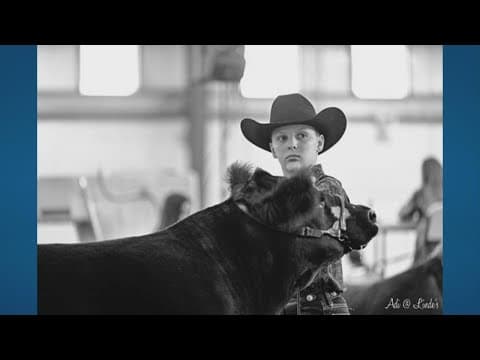 Dean's Charity Steer Show: How MilkFace got his name