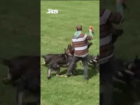 Dog trainer accused of shooting and killing employee while filming commercial