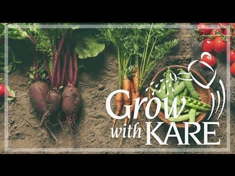 Grow with KARE: Plants to grow in fall