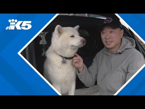 Canadians shopping in western WA see tariff impacts