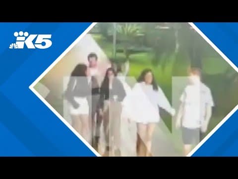 New details on disappearance of Pitt student