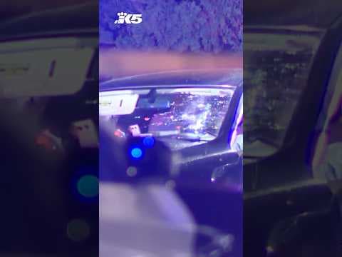 Traffic stop leads to deadly shooting in Auburn