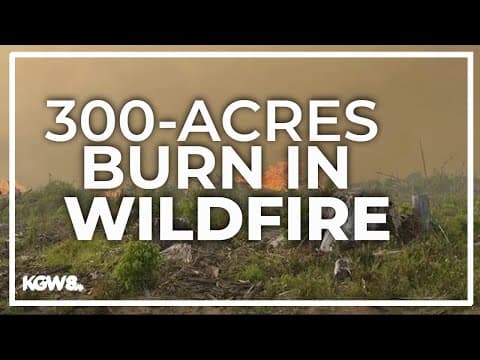 More crews assigned to Oregon wildfire burning in Lane County