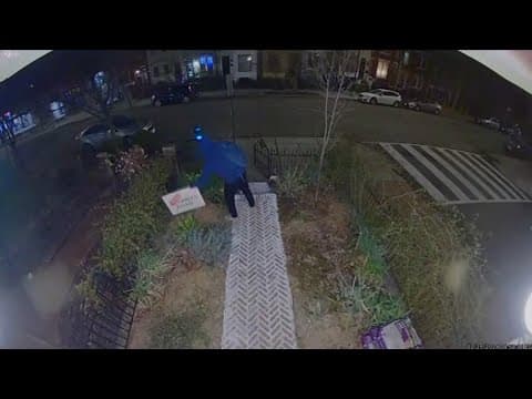 Recall campaign signs for DC Councilmember stolen