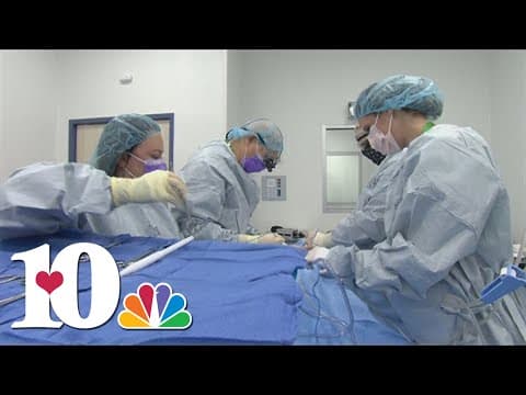 Tennessee breaks organ donation records
