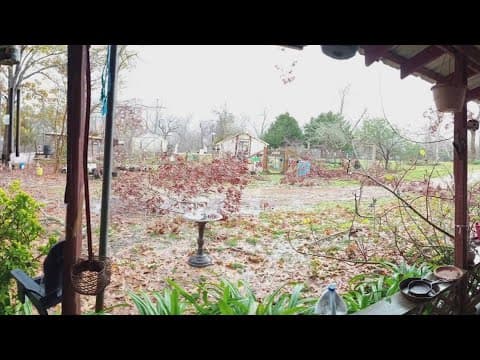 Storms cause damage in Coldspring, Texas