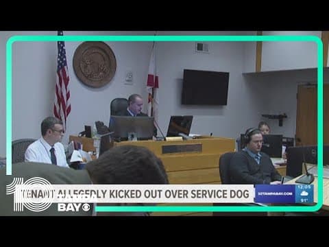 Tampa Airbnb accused of kicking out tenant over service dog