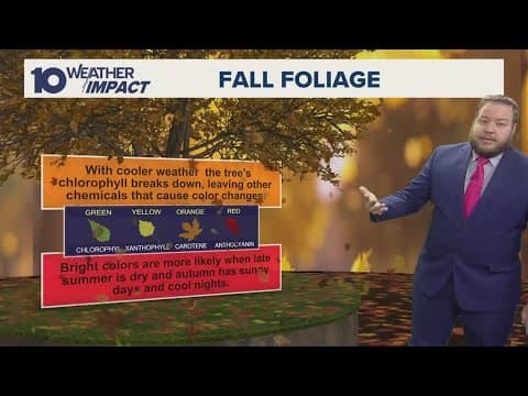 How is Ohio's drought impacting the leaves?