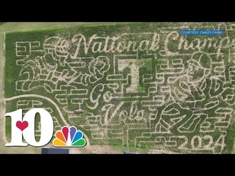 Oakes Farm honors UT baseball's College World Series win with cool corn maze design