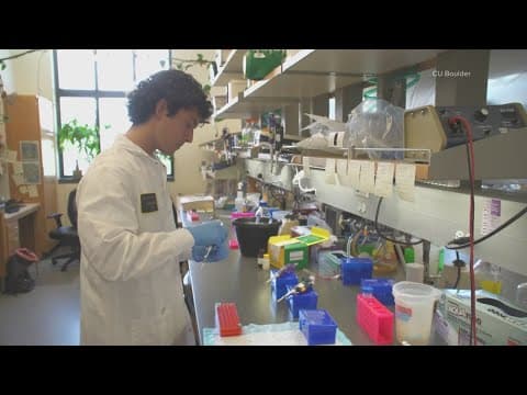 CU researchers hope to learn about treating heart disease from pythons