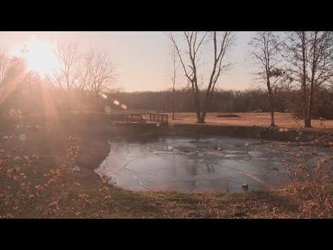 2 young children killed in Marion County crash; mother, 2 other kids critically injured