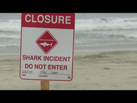 Shark Attack | Del Mar swimmer describes seeing man bit