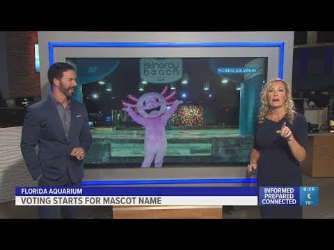 What should the Florida Aquarium name its new mascot? Here's how to weigh in