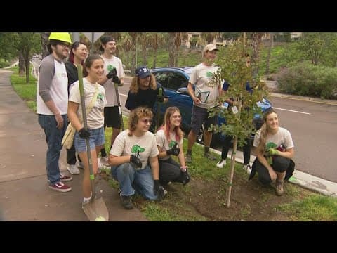 San Diego County Chevrolet dealers plant 100 trees in the community