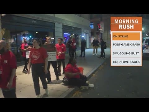 Hotel workers on strike