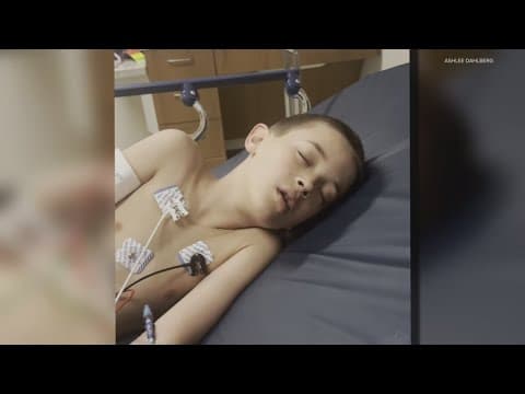 What is Haemophilus influenza, also known as H. Flu?