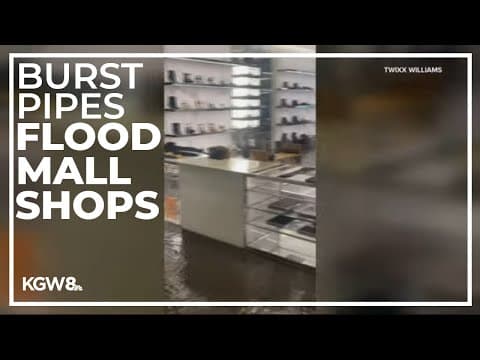 Flooding at Pioneer Place Mall, PDX after frozen pipes burst